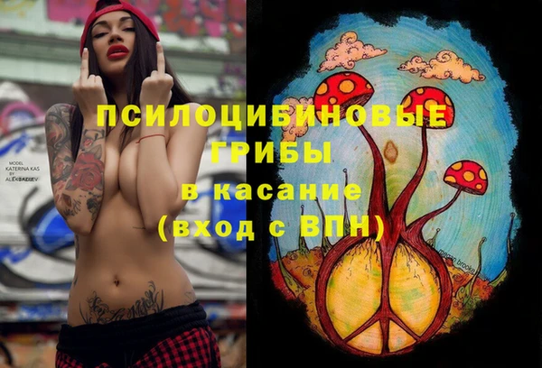 PSILOCYBIN Алзамай