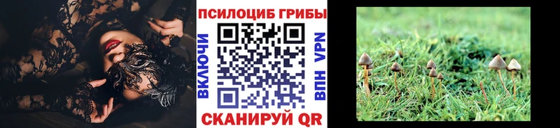 Галлюциногенные грибы прущие грибы это как зайти Сольвычегодск